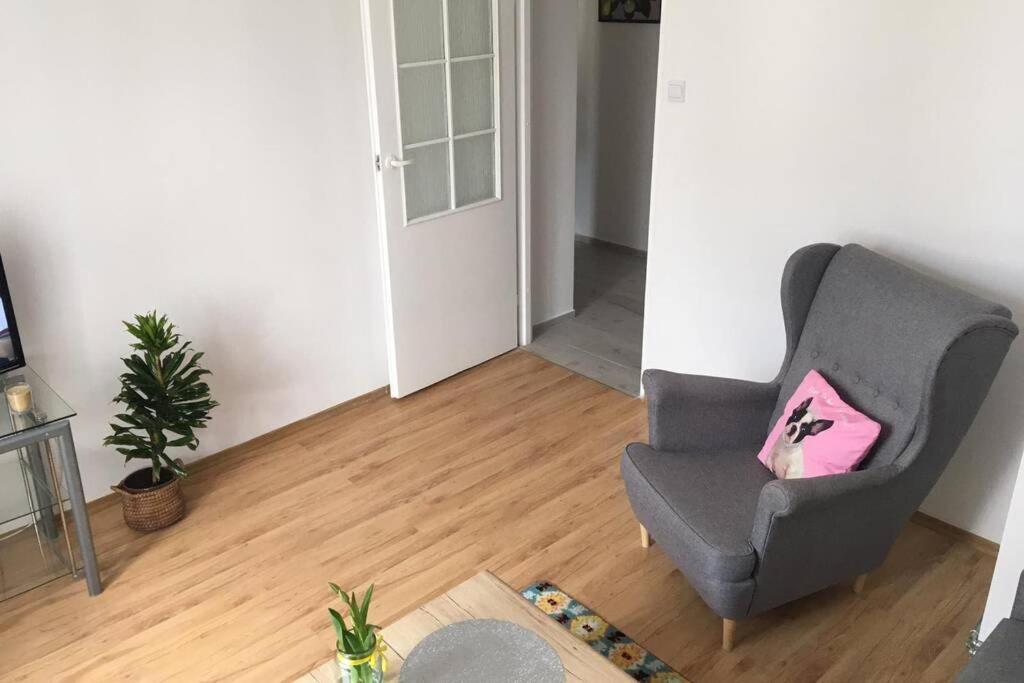 Апартаменты Apartament Na Szlaku Mazurskich Jezior Кентшин Экстерьер фото